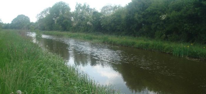 Grand Canal - Irlandia