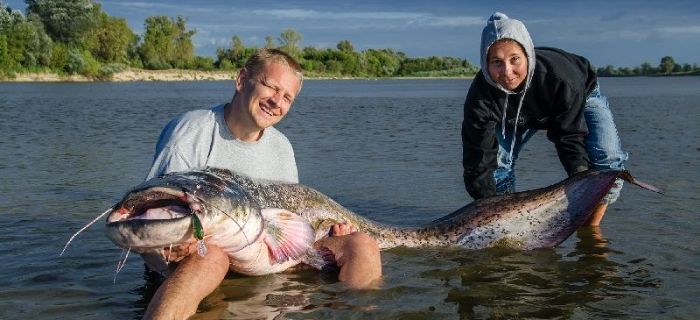 Cud nad Wisłą - Sum 220cm