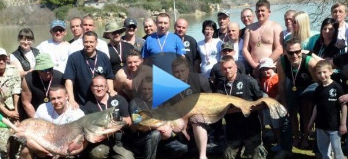 Artur Betcher sumy Ebro Hiszpania wycieczka wędkarska