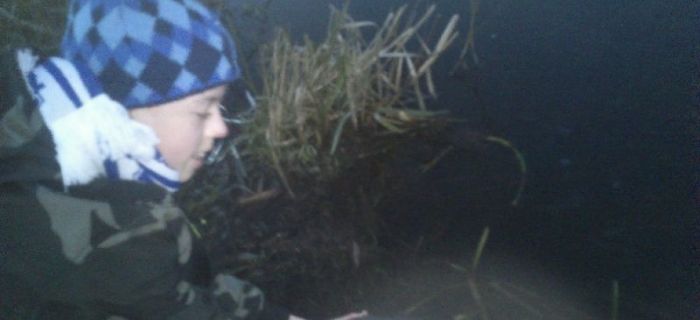 Świąteczne wypuszczanie karpia 2014