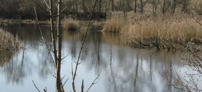 Zbiornik zaporowy na rzece Piesienicy