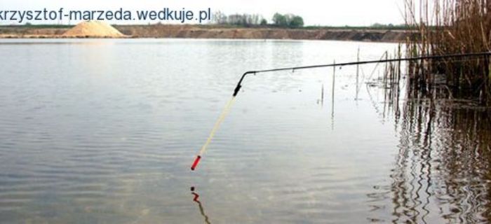Super połączenie na grunt- drgająca szczytówka i ping pong.