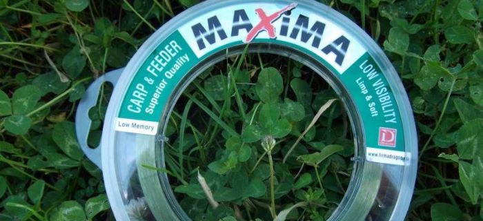 Dragon Maxima Carp Feeder - żyłka gruntowa