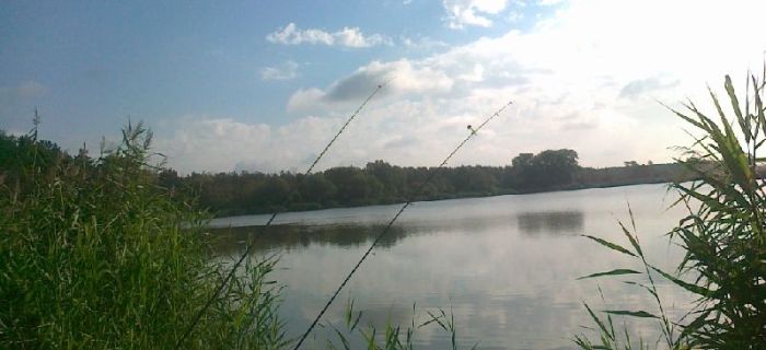 Bezrybie