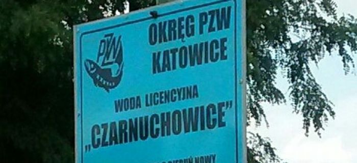 Woda licencyjna Czarnuchowice