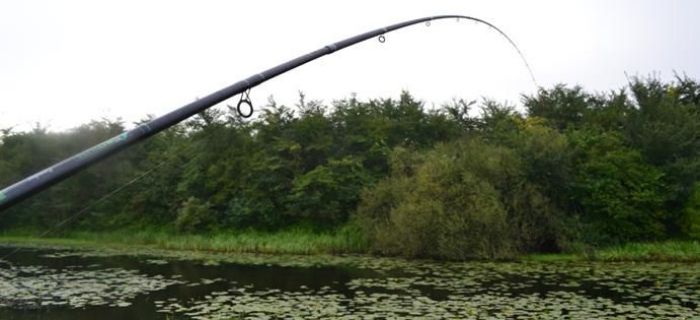 Feeder na Wisłę - Robinson Tritium Feeder