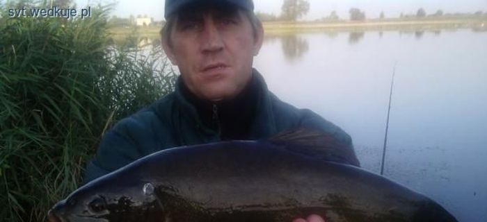 Lin na nogacie w księżycową noc