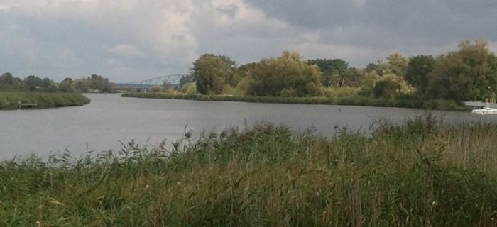 Dolna Odra