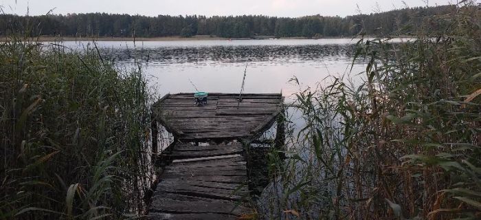 Lin we wrześniu - nieszczęście w szczęściu