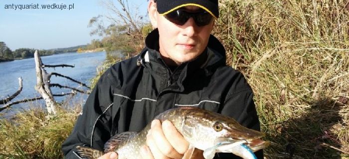 Spinningowanie na Bugu - Szczupaki z końca świata