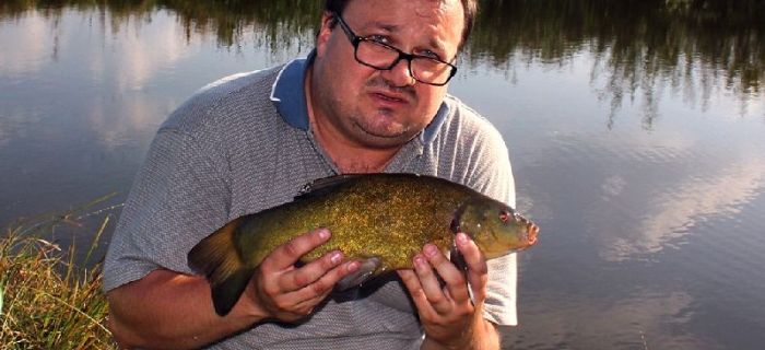 Feeder CAIMAN Tornado 3,60m