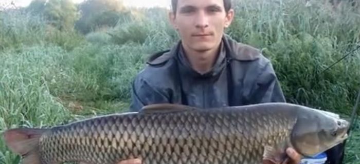 Amury końca lata
