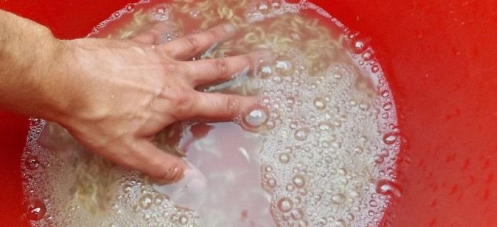 Mycie białych robaków i pinki