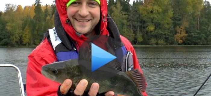 Okonie na spinning - żyłka kontra plecionka cz1 + konkurs!