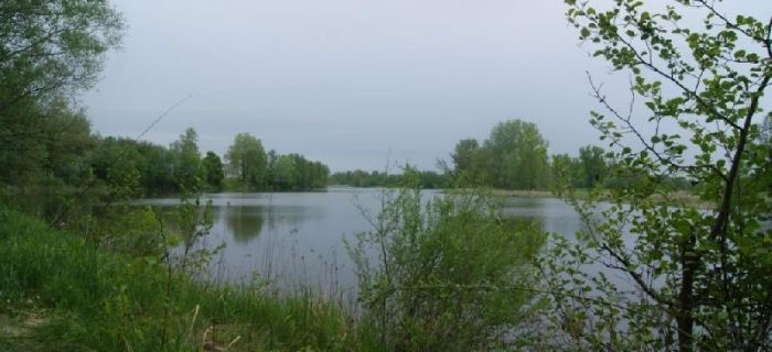 ,,Wiesiek