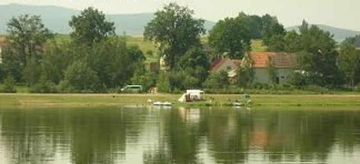 Przygarnięty Amur