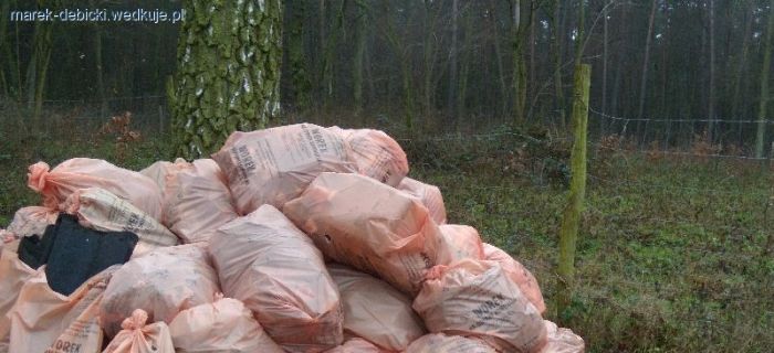 Zwierzaki, czy zwierzęta, a może….?