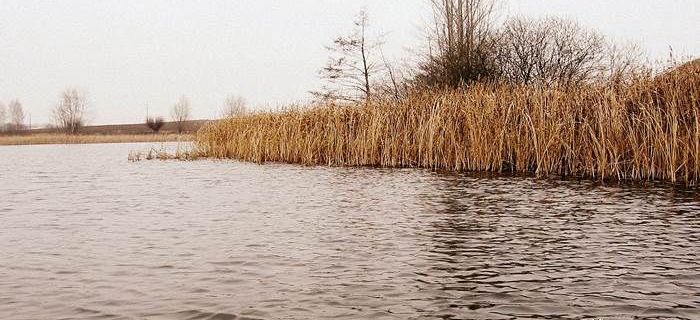 Opłaty wędkarskie, czyli płać i płacz... okiem wędkarza