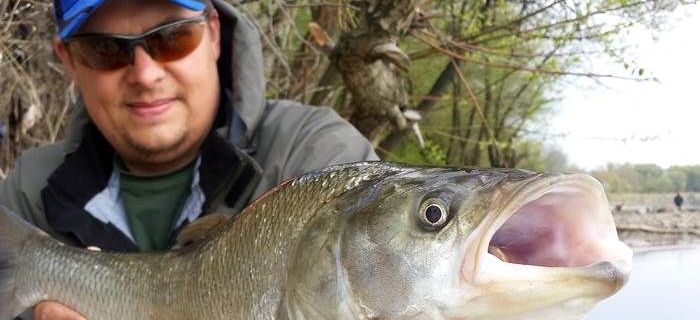 Wędka Daiwa Exceler Sea Trout 3,15m 15-45g