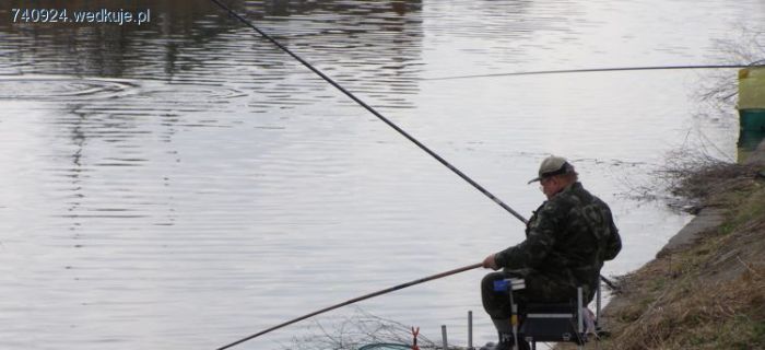 Składki członkowskie i opłaty 2015Koła nr 71 PZW w Barcinie