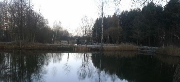 Świąteczne wędkowanie