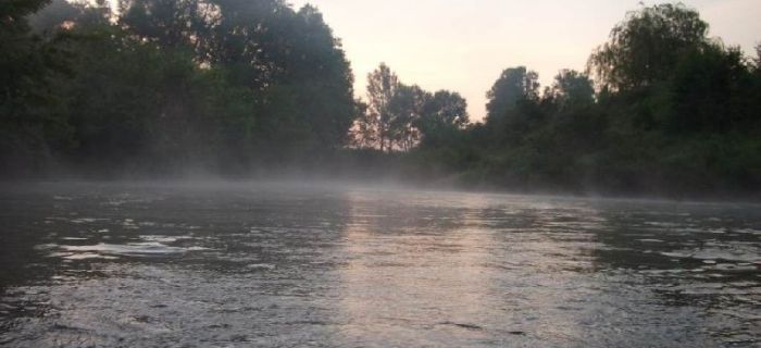 Ewolucja czyli rozwój... z cierpliwością na szczupaka