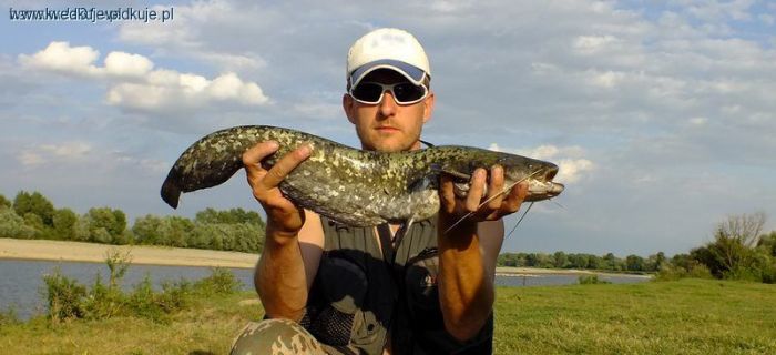Piotr Zygmunt alias barrakuda81 Blogerem roku 2014!