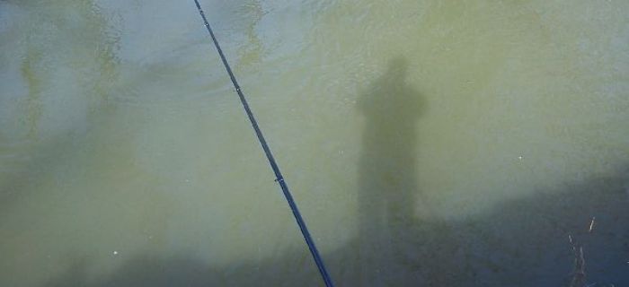Pierwsze wędkowanie w sezonie 2015