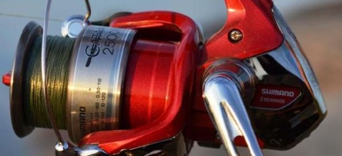 Shimano Catana 2500 FB – przekornie