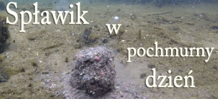 Spławik w pochmurny dzień