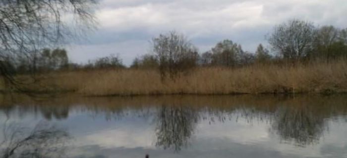 Dzikol po tygodniu - wiosenny spławik