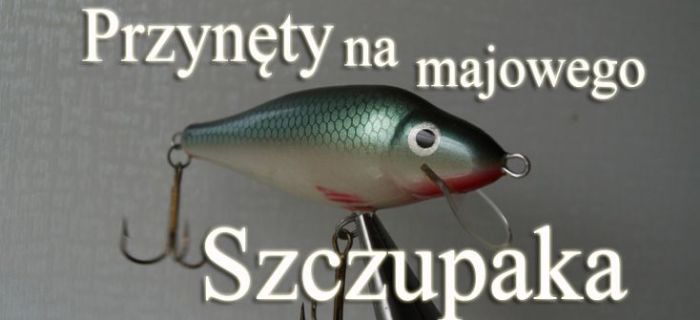 Majowe przynęty na szczupaka