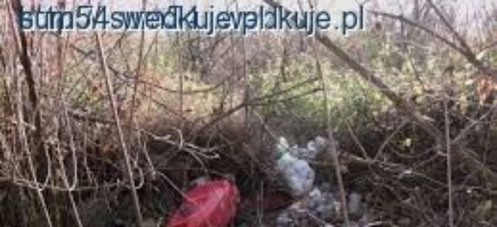 Akcja sprzątania nabrzeży rzeki Wisły -Wyszogród 2015