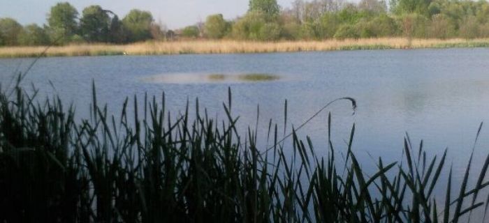 Majówka z przymrużeniem oka