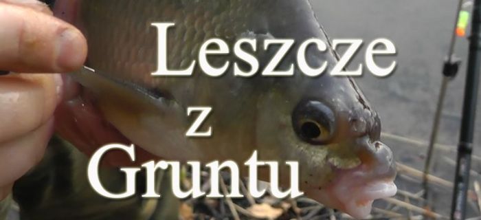 Nocne leszcze z gruntu