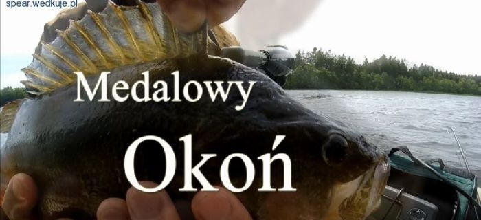 Medalowy okoń