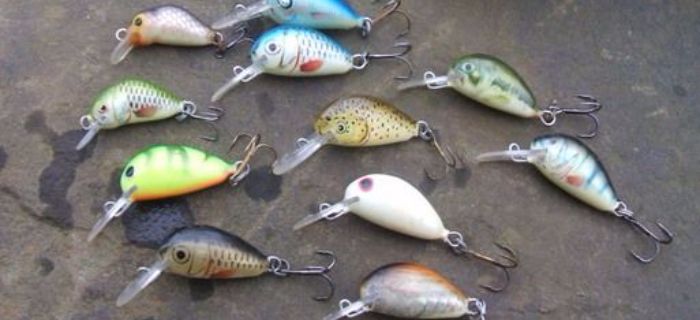 Woblery Dorado