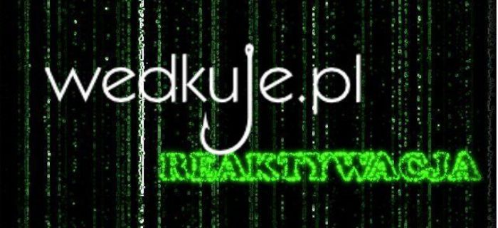 Wedkuje.pl - reaktywacja