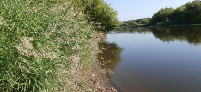 Warciańskie spinningowanie koła Chrobry 14.06.15