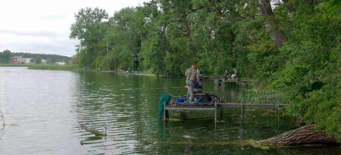 Mistrzostwa koła PZW nr 132 w Tarnowie Podgórnym 21.06.15