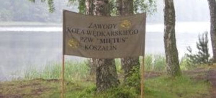 Nagroda Prezesa 2015 - wyniki