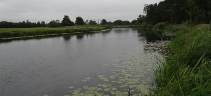 Mistrzostwa Koła Mosina Miasto 2015