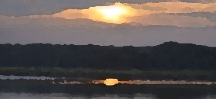 Nocne zawody gruntowe o puchar Prezesa Koła Famag 2015