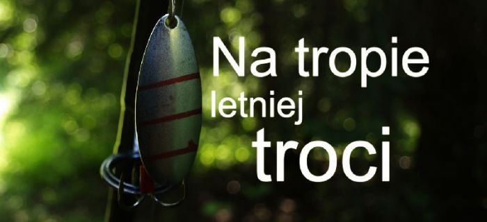 Na tropie letniej troci