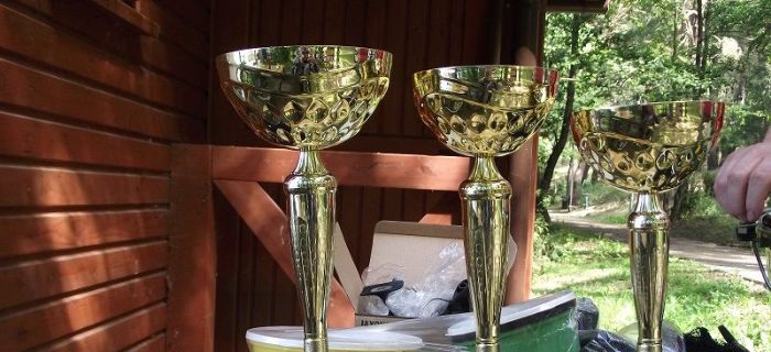 VI Puchar Starosty Powiatu j. Średniak - Gostycyn 2015