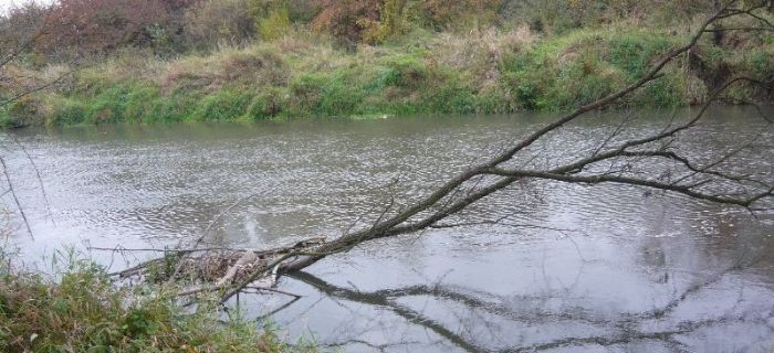 Wędkarski pech-kumulacja!