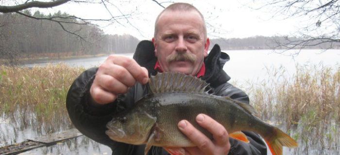  Okoń 