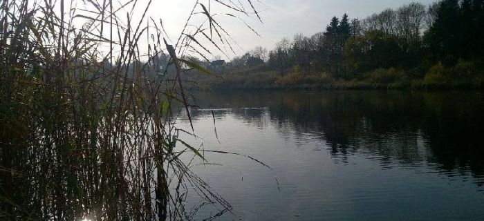 Jezioro Drzewiany I (J-44)
