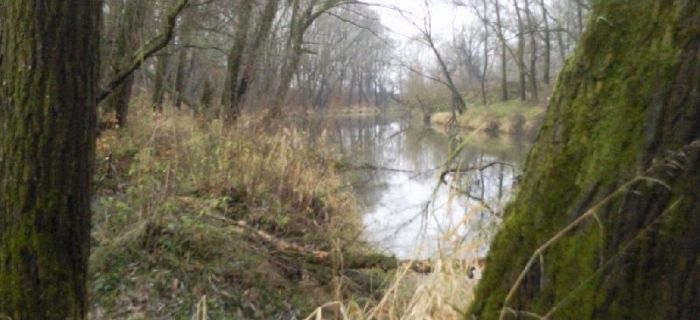 Wisła na niby