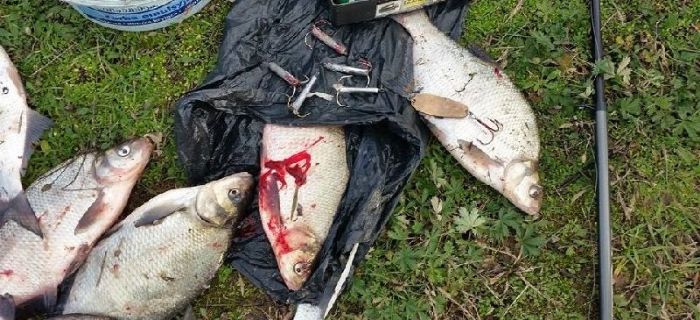 Szarpakowcy w porcie stoczni rzecznej w Płocku